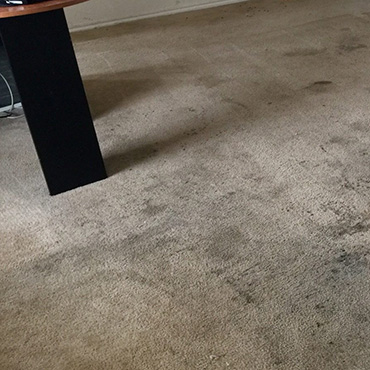 Dirty Carpet